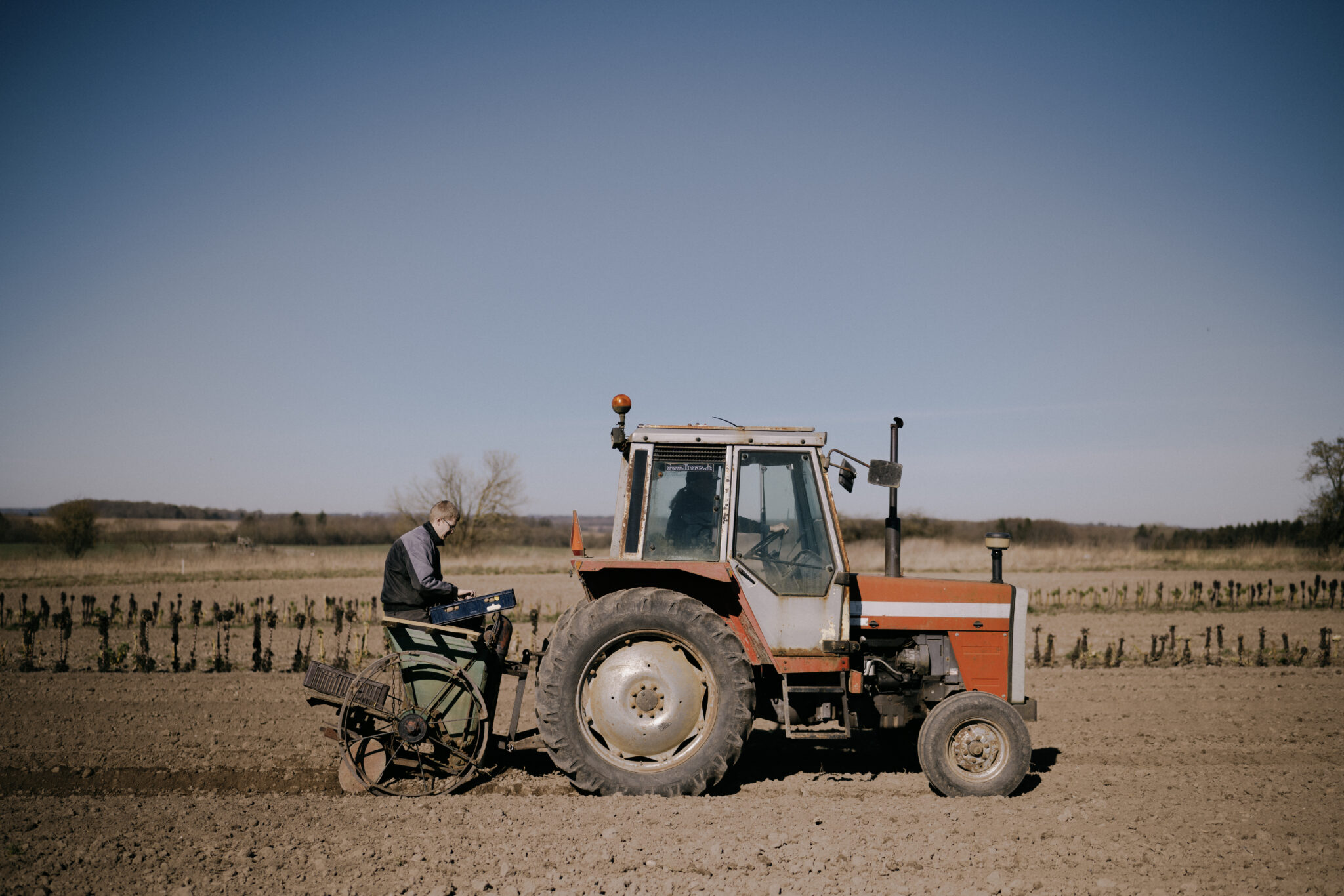 #1 Sommergrønt, Aarhus Lokalguide, Foto Liv M. Kastrup 046