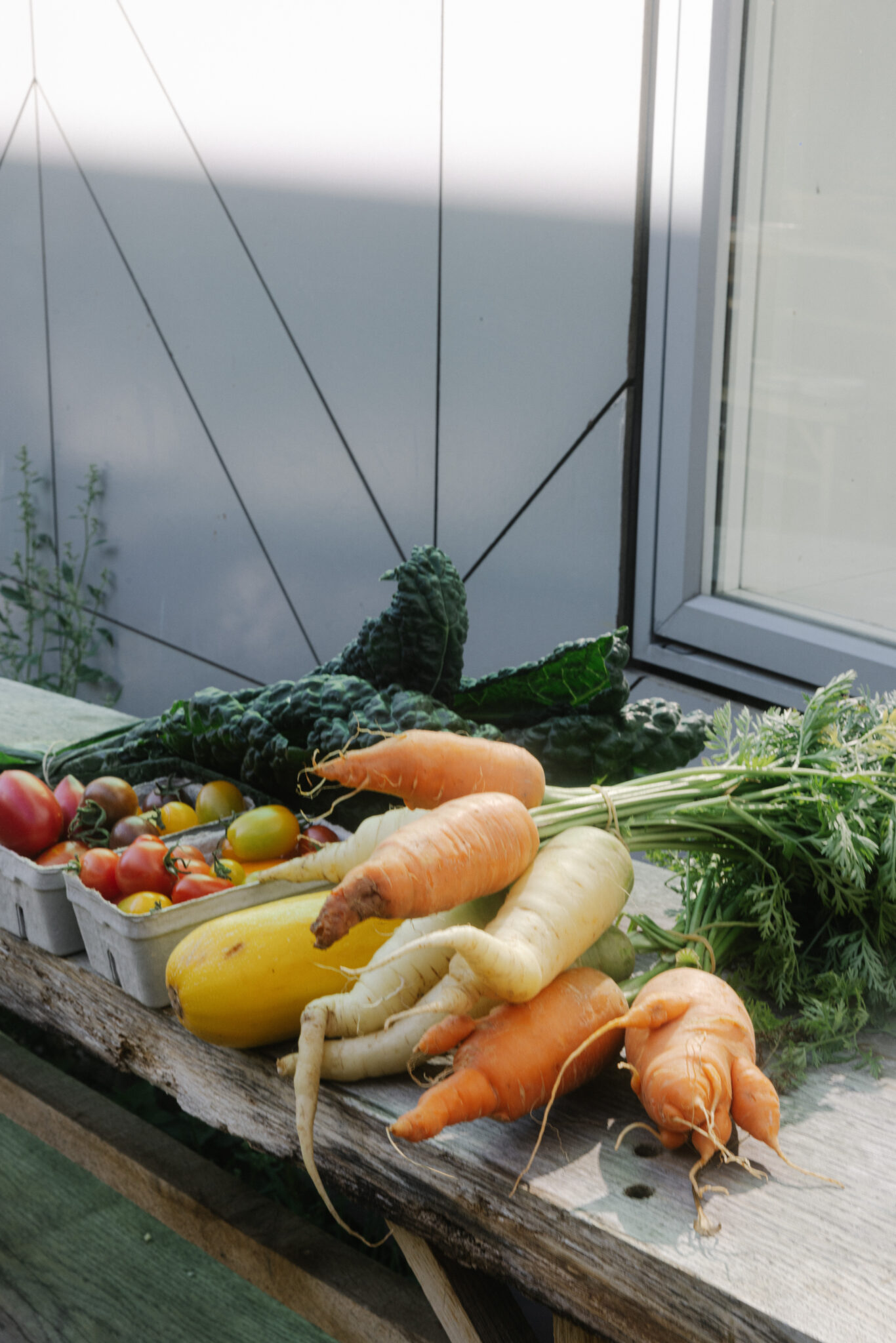 Madland guide til kbh og omegn, foto Liv M. Kastrup 080