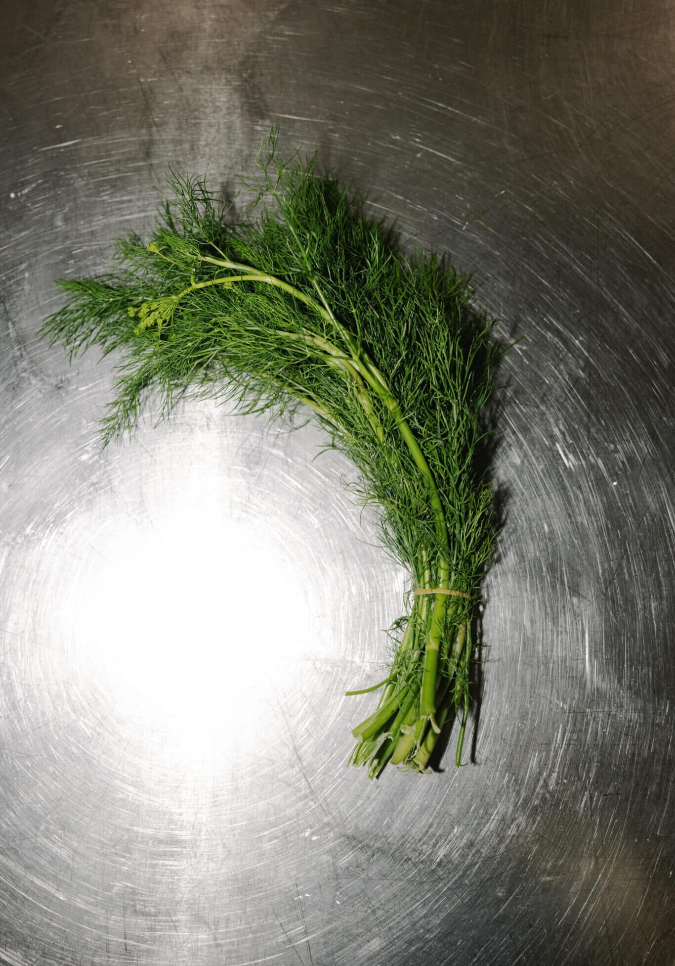 Madland guide til kbh og omegn, KBHFF , foto Liv M. Kastrup 013