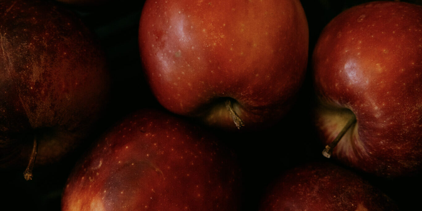 Sommergrønt, Aarhus Lokalguide, Foto Liv M. Kastrup 033